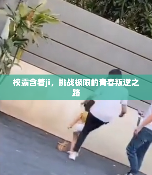 校霸含着ji，挑战极限的青春叛逆之路