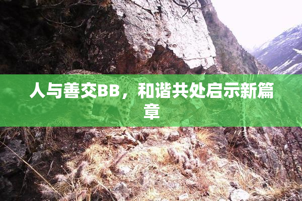 人与善交BB，和谐共处启示新篇章