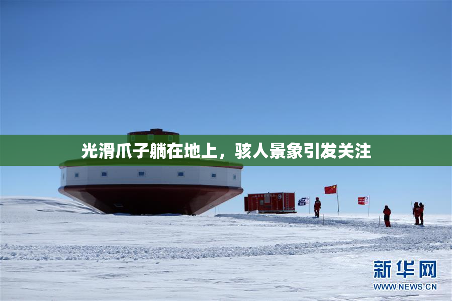 光滑爪子躺在地上，骇人景象引发关注