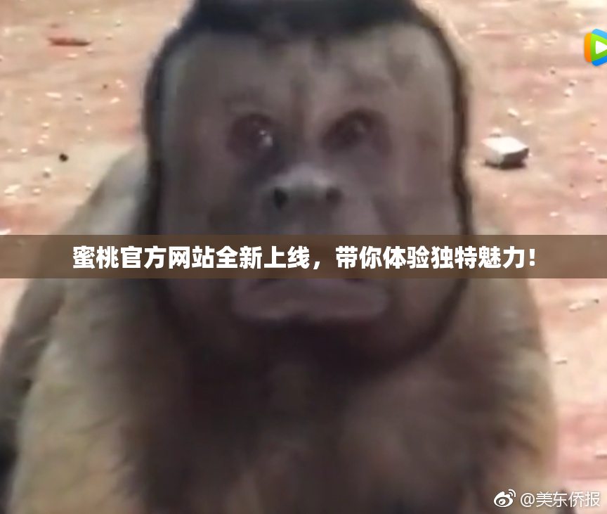 蜜桃官方网站全新上线，带你体验独特魅力！