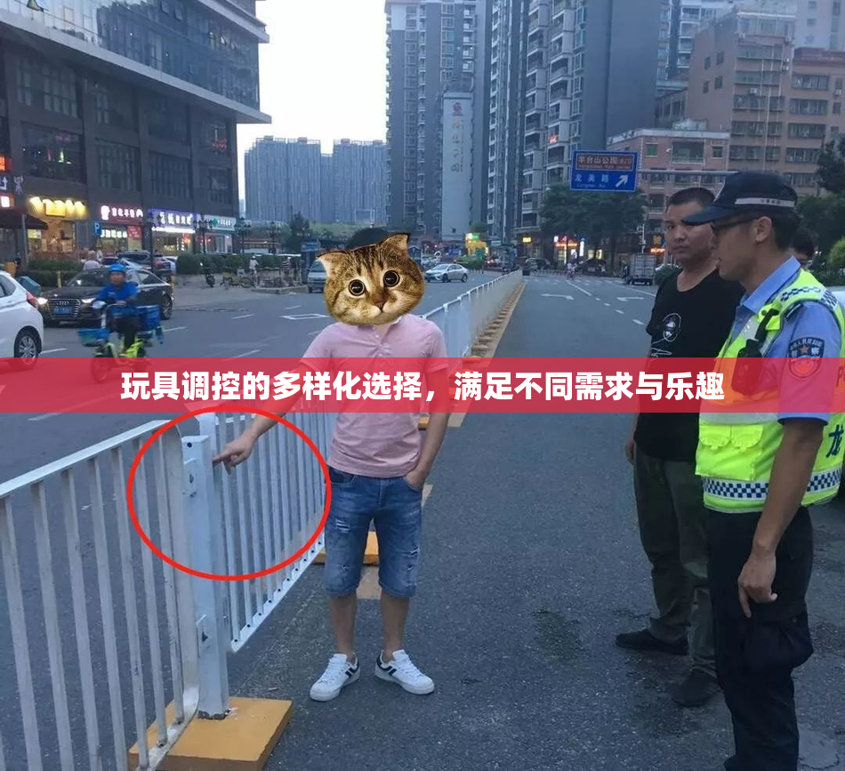 玩具调控的多样化选择，满足不同需求与乐趣