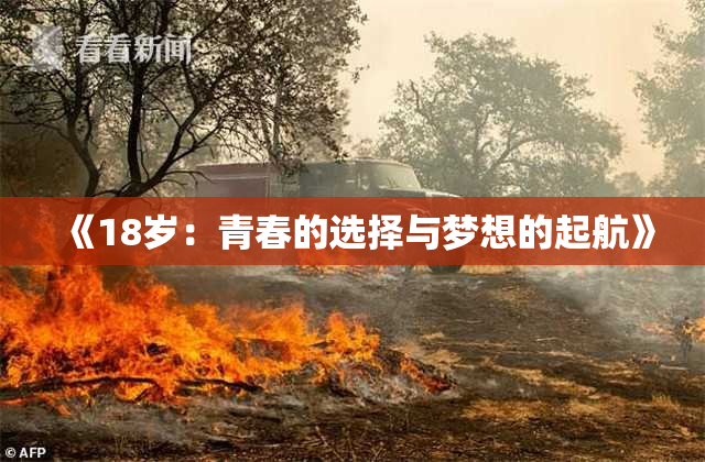 《18岁：青春的选择与梦想的起航》