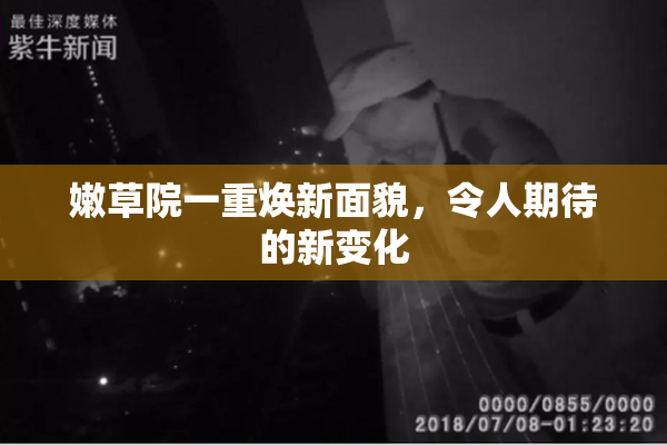 嫩草院一重焕新面貌，令人期待的新变化