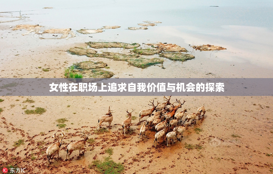 女性在职场上追求自我价值与机会的探索