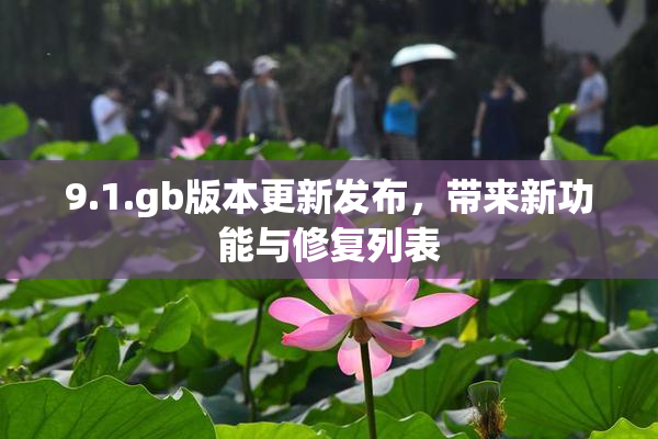 9.1.gb版本更新发布，带来新功能与修复列表