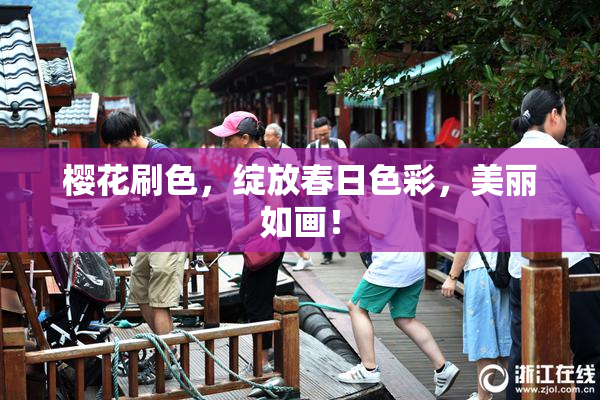 樱花刷色，绽放春日色彩，美丽如画！