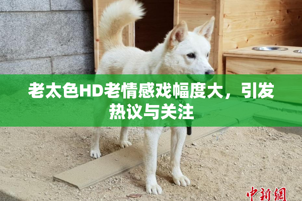 老太色HD老情感戏幅度大，引发热议与关注