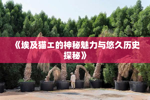 《埃及猫エ的神秘魅力与悠久历史探秘》