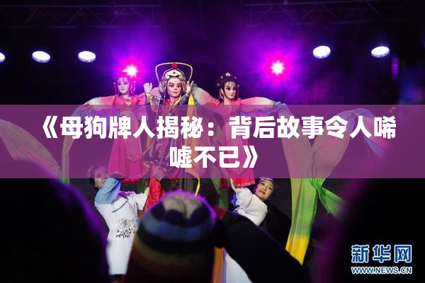 《母狗牌人揭秘：背后故事令人唏嘘不已》