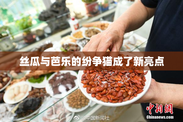 丝瓜与芭乐的纷争猫成了新亮点
