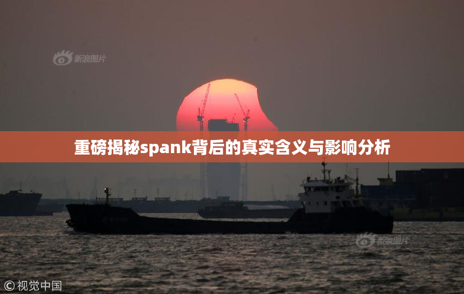重磅揭秘spank背后的真实含义与影响分析