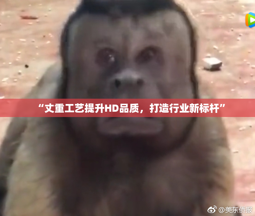 “丈重工艺提升HD品质，打造行业新标杆”