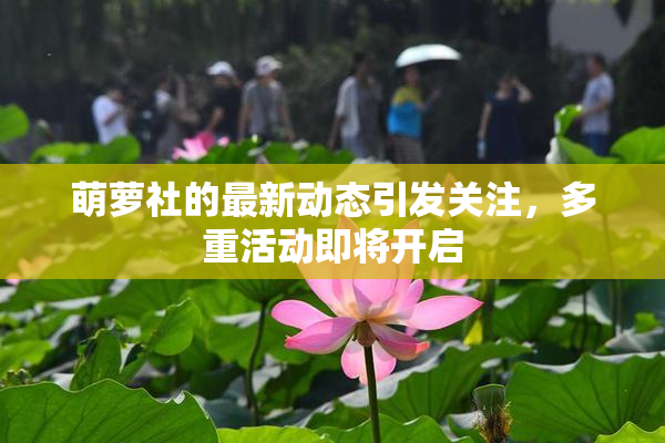 萌萝社的最新动态引发关注，多重活动即将开启