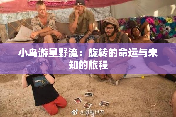 小鸟游星野流：旋转的命运与未知的旅程