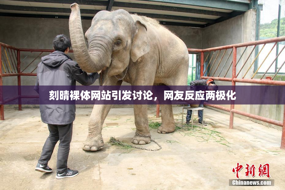 刻晴裸体网站引发讨论，网友反应两极化