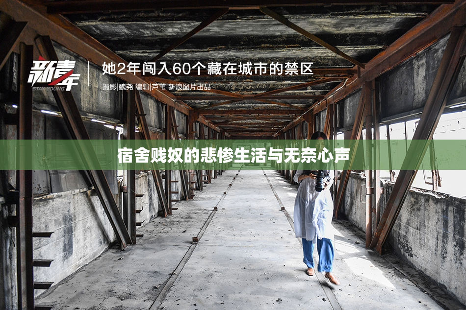 宿舍贱奴的悲惨生活与无奈心声