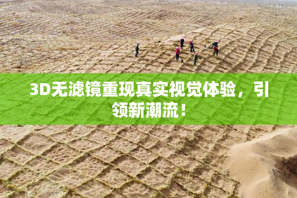 3D无滤镜重现真实视觉体验，引领新潮流！