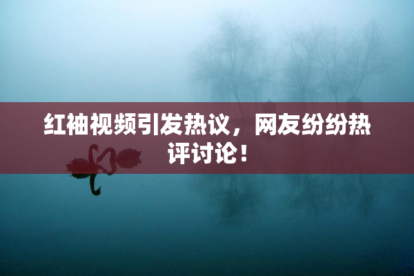 红袖视频引发热议，网友纷纷热评讨论！
