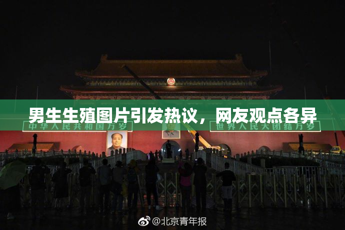 男生生殖图片引发热议，网友观点各异