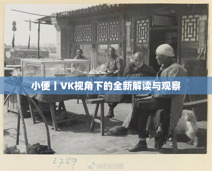 小便丨VK视角下的全新解读与观察