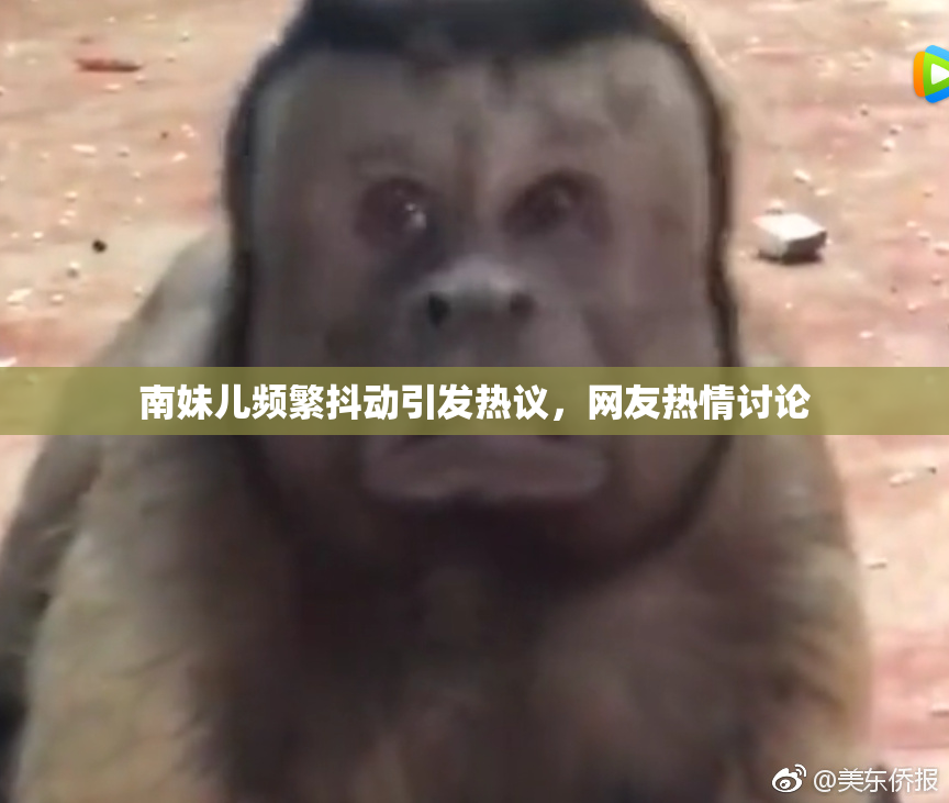 南妹儿频繁抖动引发热议，网友热情讨论