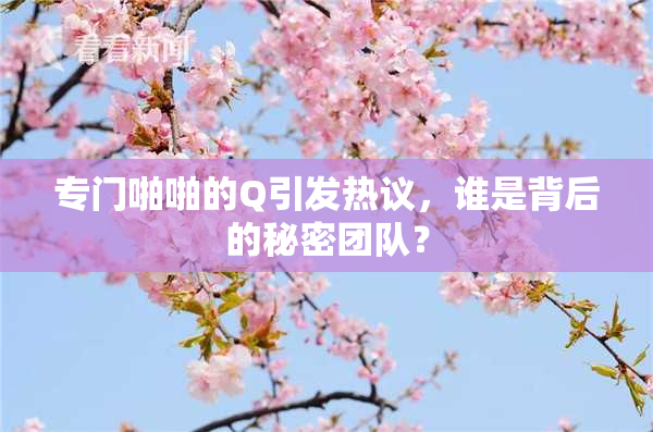 专门啪啪的Q引发热议，谁是背后的秘密团队？