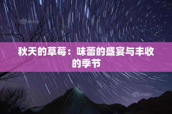 秋天的草莓：味蕾的盛宴与丰收的季节