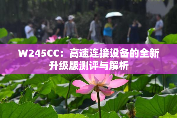 W245CC：高速连接设备的全新升级版测评与解析