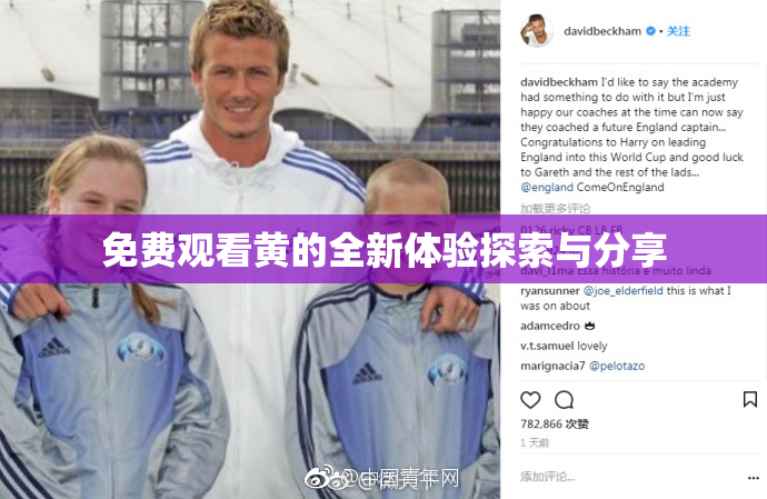 免费观看黄的全新体验探索与分享
