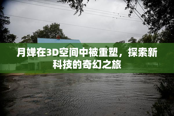 月婵在3D空间中被重塑，探索新科技的奇幻之旅