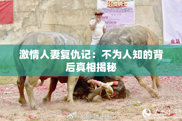 激情人妻复仇记：不为人知的背后真相揭秘