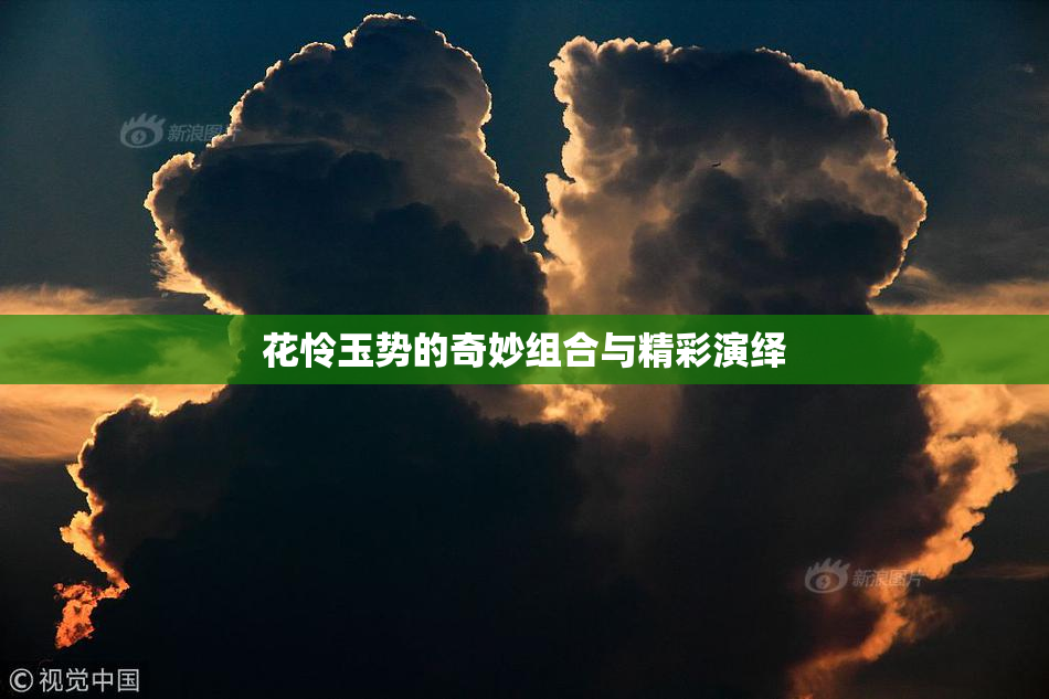 花怜玉势的奇妙组合与精彩演绎