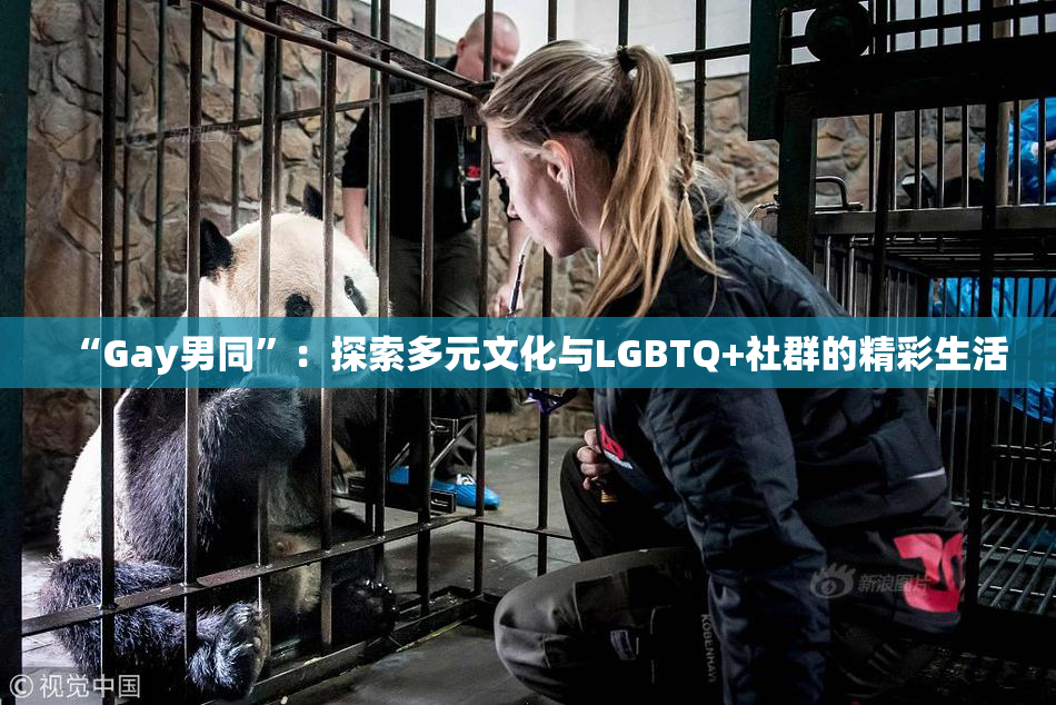 “Gay男同”：探索多元文化与LGBTQ+社群的精彩生活
