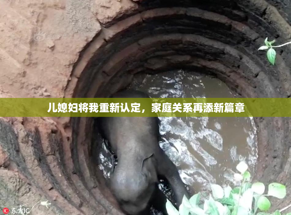 儿媳妇将我重新认定，家庭关系再添新篇章