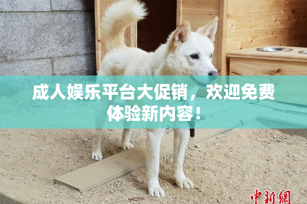 成人娱乐平台大促销，欢迎免费体验新内容！
