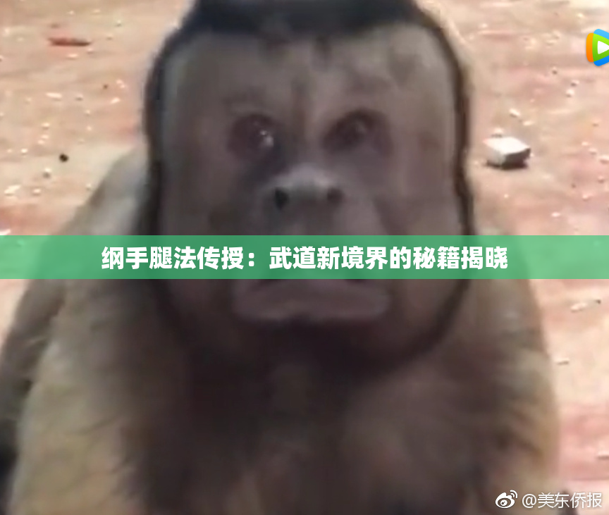 纲手腿法传授：武道新境界的秘籍揭晓