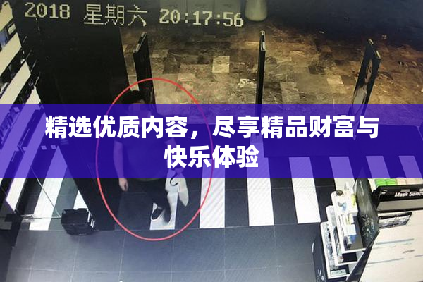 精选优质内容，尽享精品财富与快乐体验