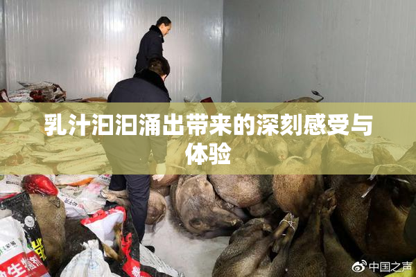 乳汁汩汩涌出带来的深刻感受与体验