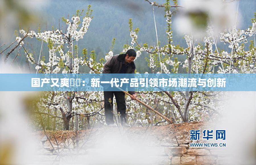 国产又爽❌‌：新一代产品引领市场潮流与创新
