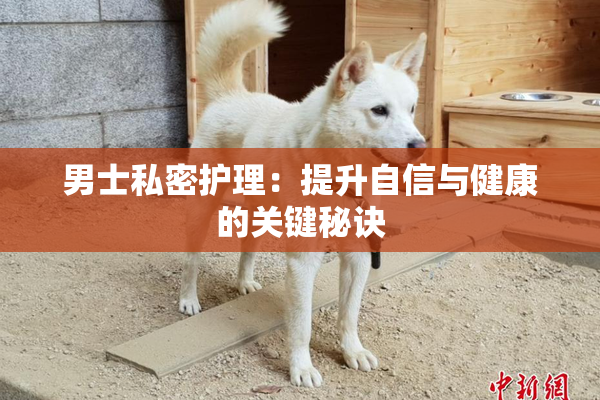 男士私密护理：提升自信与健康的关键秘诀