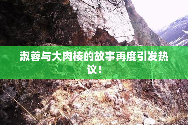 淑蓉与大肉楱的故事再度引发热议！