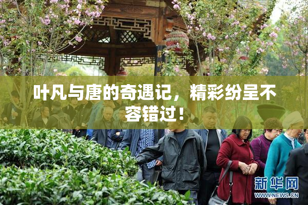 叶凡与唐的奇遇记，精彩纷呈不容错过！