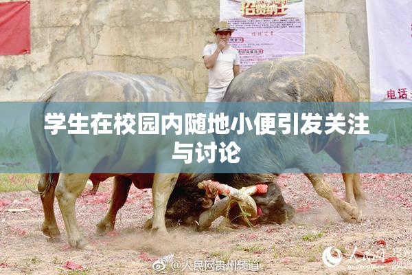 学生在校园内随地小便引发关注与讨论