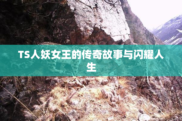 TS人妖女王的传奇故事与闪耀人生