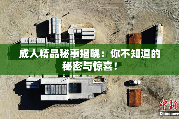 成人精品秘事揭晓：你不知道的秘密与惊喜！