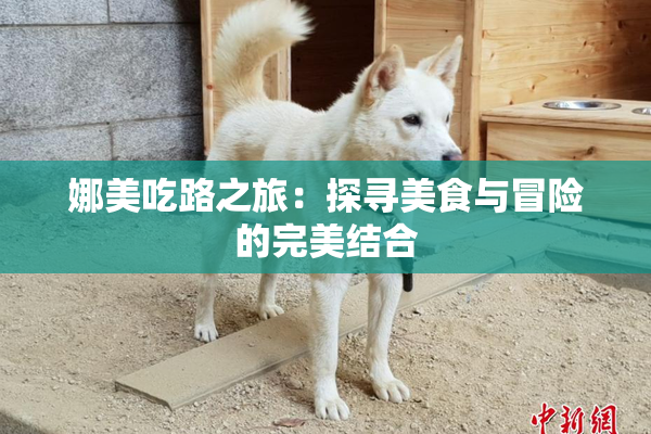 娜美吃路之旅：探寻美食与冒险的完美结合