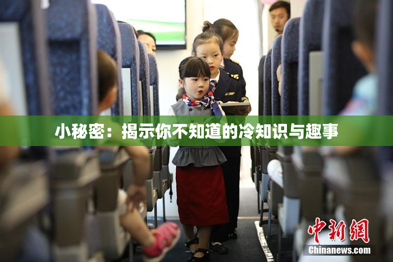 小秘密：揭示你不知道的冷知识与趣事