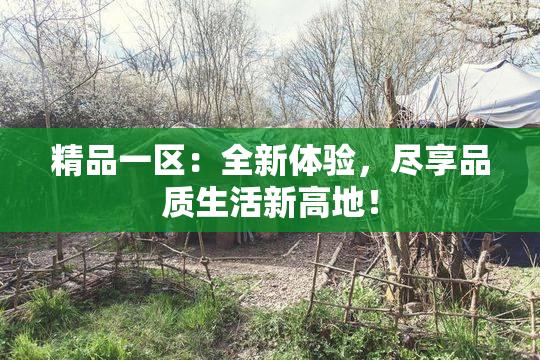 精品一区：全新体验，尽享品质生活新高地！