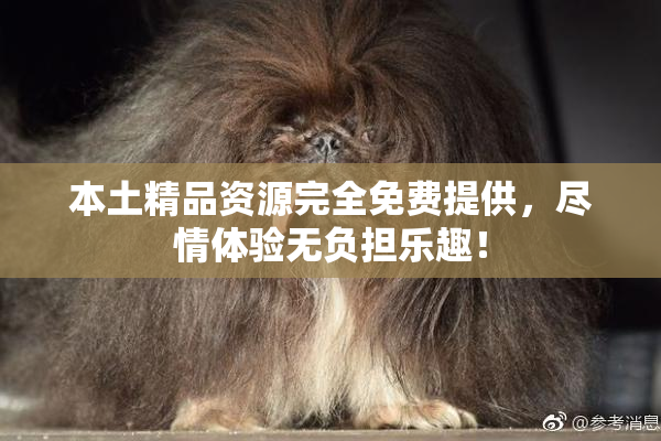 本土精品资源完全免费提供，尽情体验无负担乐趣！