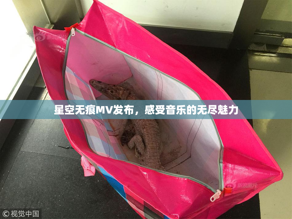星空无痕MV发布，感受音乐的无尽魅力